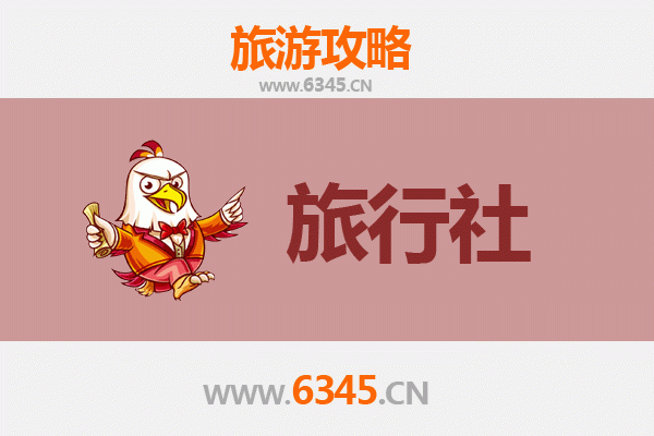 甘南玛曲旅行社精选推荐：高原秘境的专业向导